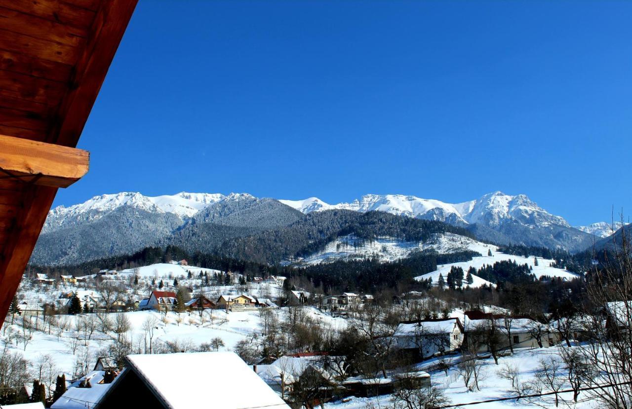 Milea'S Guesthouse Бран Экстерьер фото