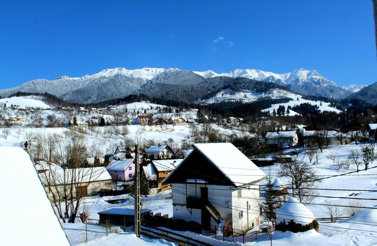 Milea'S Guesthouse Бран Экстерьер фото